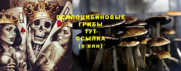 mdma Покачи